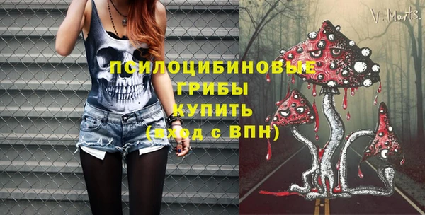 дмт Верея