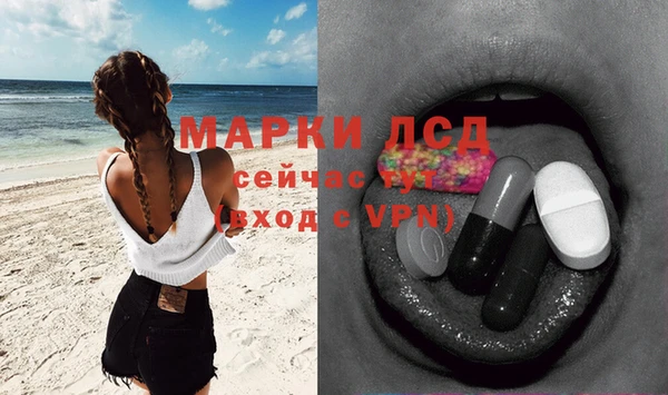 дмт Верея
