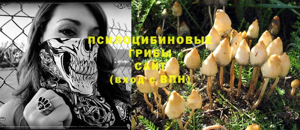 трава Верхнеуральск